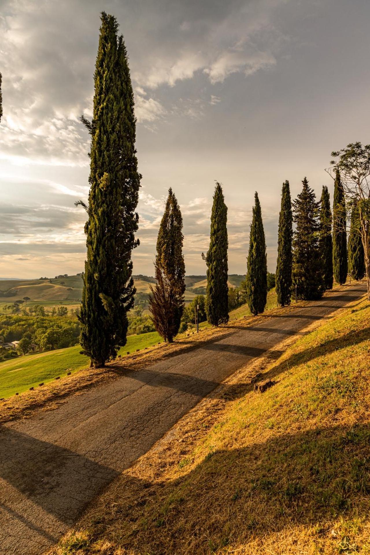 Agriturismo Percenna Buonconvento Exterior photo